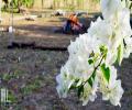 La Colina Jardin de Yoga